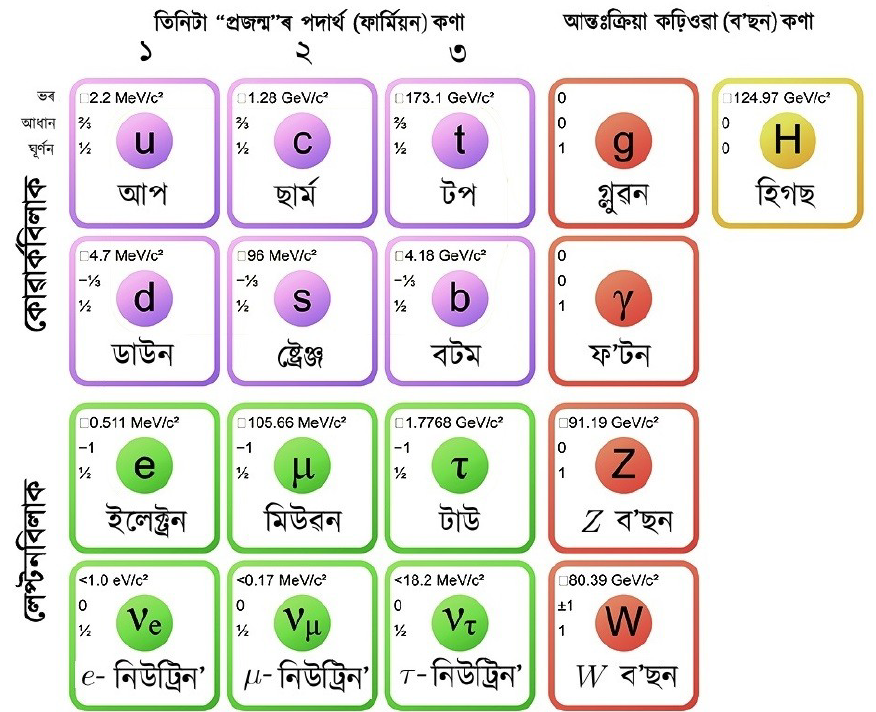 standard-model